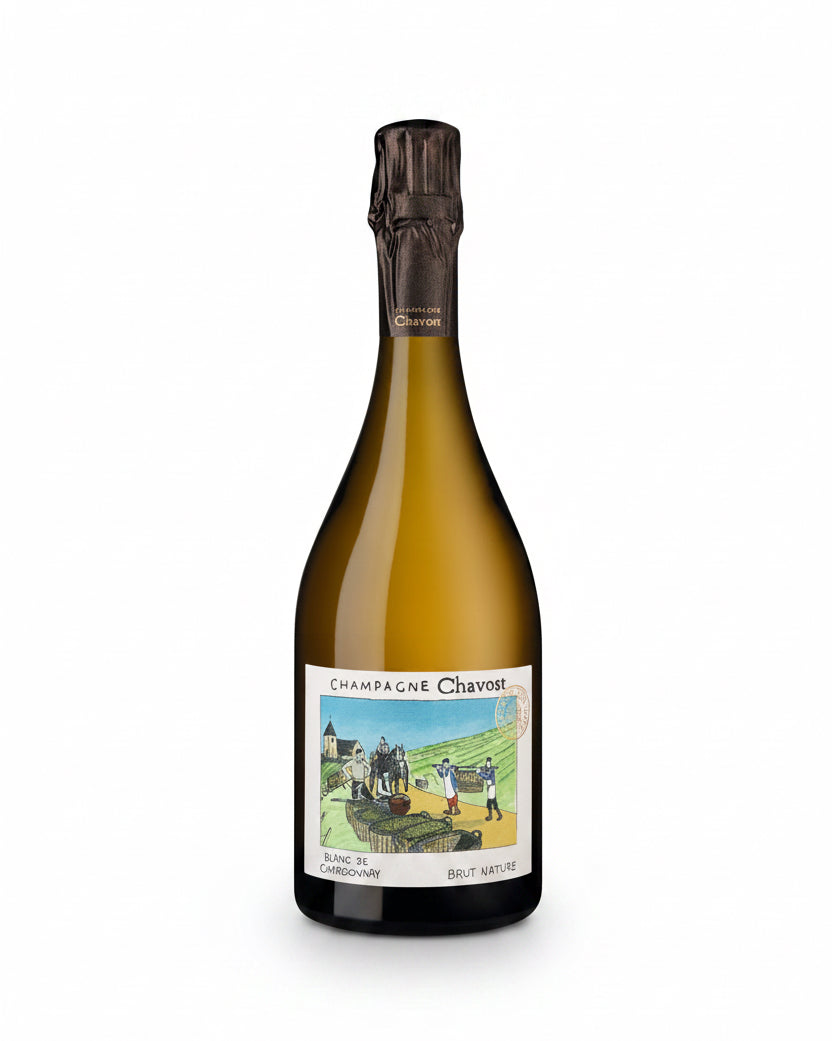 Champagne Chavost Blanc de Chardonnay Brut Nature, eleganter Schaumwein in einer Flasche mit goldener Beschriftung und einer goldenen Kapsel