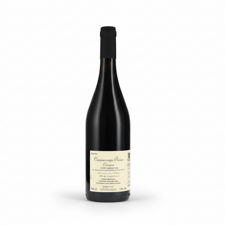 Cinque Campi - "Cinquecampi" Rosso Frizzante Emilia Lambrusco IGT BIO - Weinhandel Holy Grail Köln