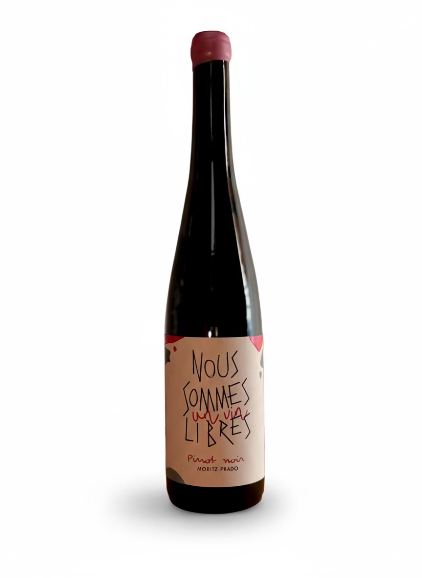 Maison Moritz Prado Pinot Noir Amphore 2018 - Weinhandel Holy Grail Köln