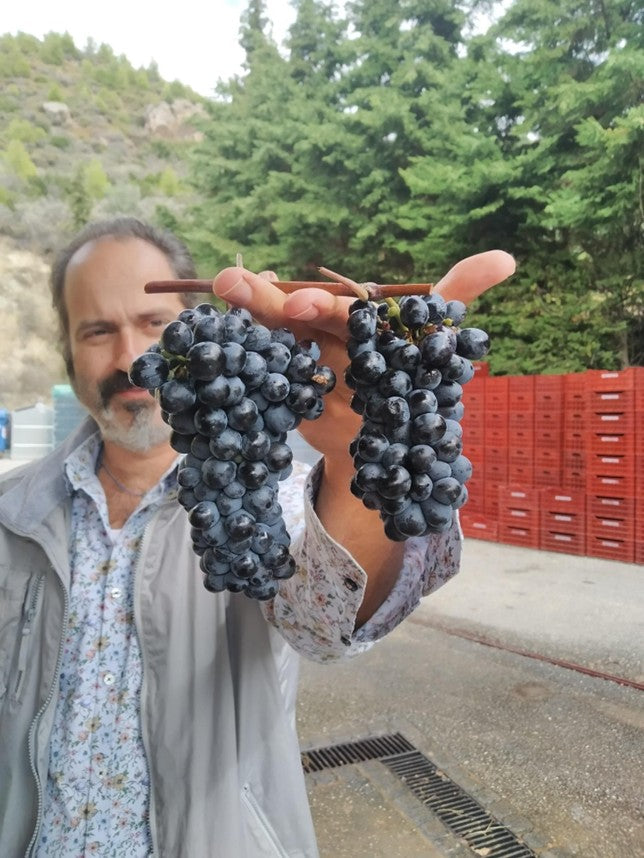 Tetramythos Panagiotis Papagianopoulos