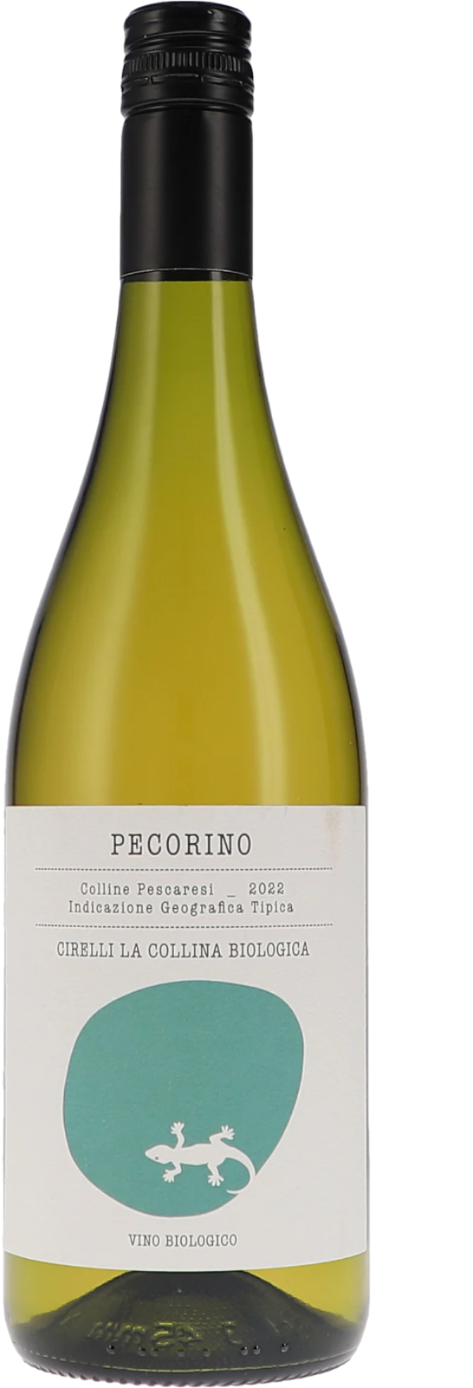 Francesco Cirelli - Pecorino 2022 Colline Pescaresi IGT BIO - Holy Grail Wine Shop Köln